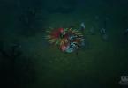 diablo-iii_beta_dh-fan-of-knives