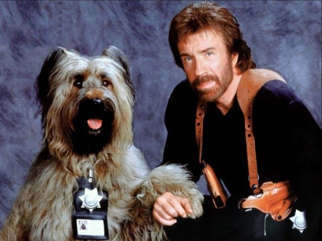 The Expendables 2 is Going to Suck Thanks to Chuck Norris