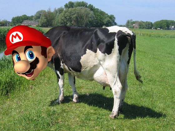 Nintendo Announces 2D Mario Game For 3DS. Wait, What?